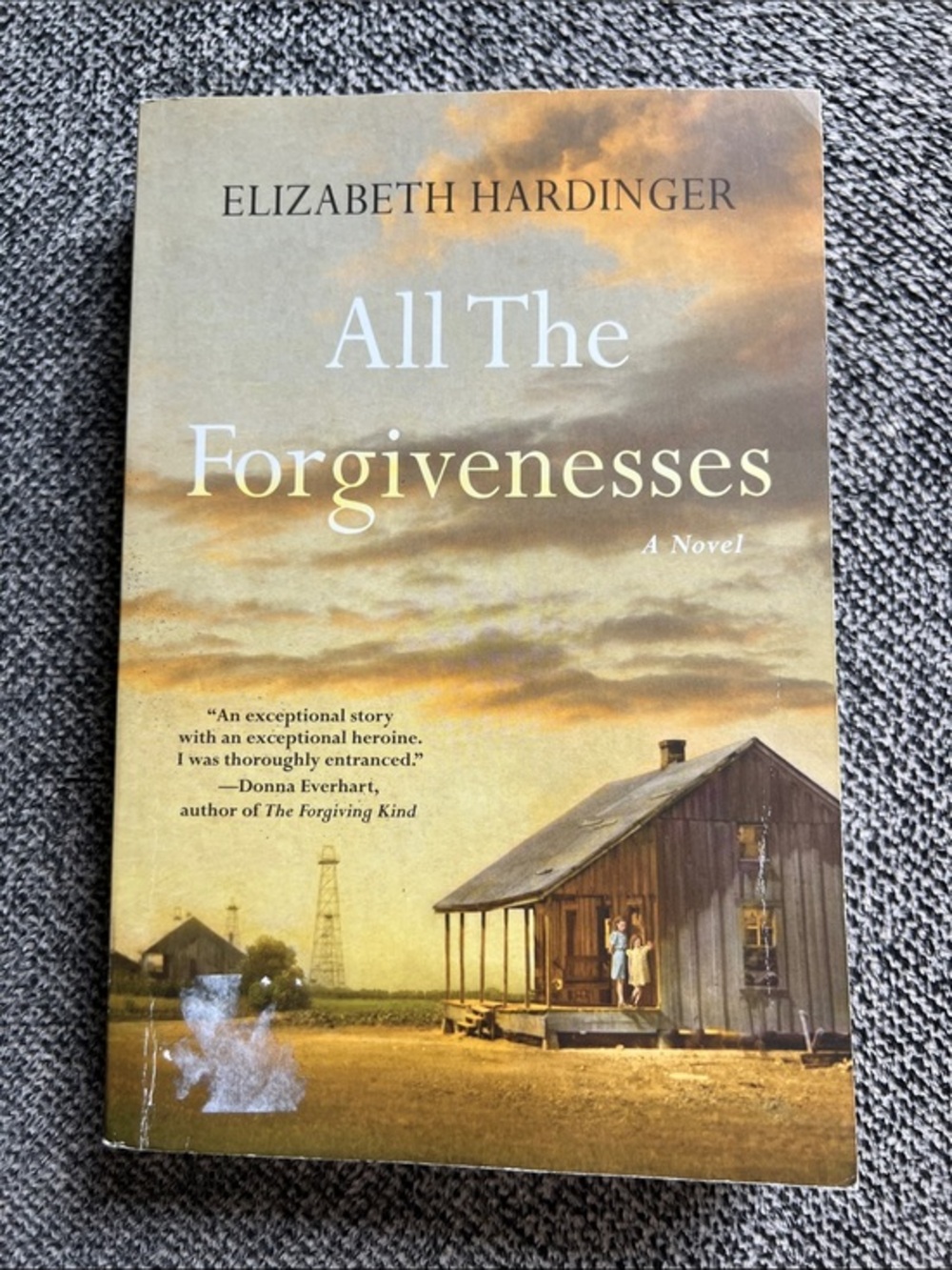 All The Forgivenesses by Elizabeth Hardinger - Sunset Tones